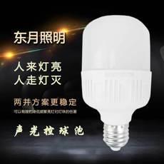 感應球泡10w